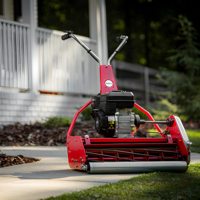 Lawn Envy 101: Achieving Picture-Perfect Lawns with Rolux